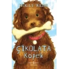 Çikolata Köpek