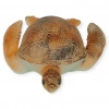 Deniz Hayvanları Serisi - Caretta Caretta 22 cm - 1 ADET