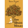 Dere Ülkesinin Yolcusu - Hebo