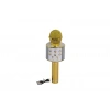 EMR-101 KUTULU KARAOKE MİKROFON