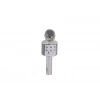 EMR-101 KUTULU KARAOKE MİKROFON
