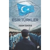 Esir Türkler