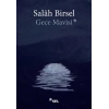 Gece Mavisi