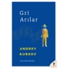 Gri Anılar