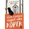 Hayal Kurmaya Cesaret Eden Köpek