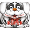 Hayvanlar Aleminin En Sadığı Köpek