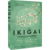 Ikigai Uygulama Rehberi