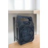 Kablosuz 6.5 İnç TWS Bluetooth Hoparlör