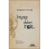 Kayayı Delen İncir