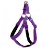 Köpek Bel Tasması 85 cm Mor