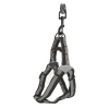 Köpek Göğüs Tasma Seti Daa Desenli 1.5 cm*35-48 cm Siyah-Beyaz