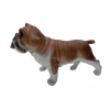 Köpekler - Amerikan Bulldog Cinsi Köpek  - 1 ADET