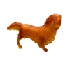 Köpekler - Collie Cinsi Köpek  - 1 ADET
