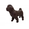 Köpekler - Poodle Cinsi Köpek  - 1 ADET