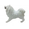 Köpekler - Samoyed Cinsi Köpek   - 1 ADET