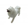 Köpekler - Samoyed Cinsi Köpek   - 1 ADET