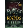 Kozmos 1 Arı Kovanı ve Sinek