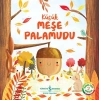 Küçük Meşe Palamudu - Doğanın Eşsiz Hikayeleri 2