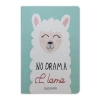 Lama Notebook Su Yeşili - Defter
