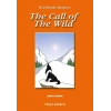 Level 4 - The Call of The Wild