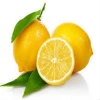 Limon Bonesi / 10 Adet /  Çayı Bonesi