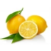 Limon Bonesi / 500 Adet /  Çayı Bonesi