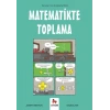 Matematikte Toplama- Gençler İçin Çizgilerle Bilim