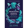 Muazzam Dünya Beş Duyunun Ötesine Yolculuk