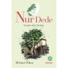 Nur Dede
