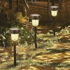 Panther Pt-b117 Solar Led Bahçe Lambası
