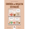 Sindirim ve Boşaltım Sistemleri - Gençler İçin Çizgilerle Bilim