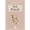 Sirk Köpeği