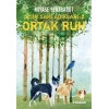 Sisin Sakladıkları 2 - Ortak Ruh