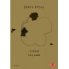 Sitem Taşları