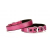 Softlu Köpek Boyun Tasması 2 cm x 40 cm Mor