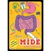 Süper Mide Ve Sindirim Sistemi