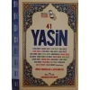 Türkçe Okunuşlu ve Mealli, Sesli 41Yasin-i Şerif (Çanta Boy)