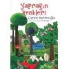 Yaprağın Renkleri