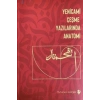 Yenicami Çeşme Yazılarında Anatomi