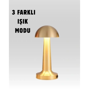 %100 Kademeli Ayarlanabilir Işık – USB Şarjlı Masa Lambası (  )