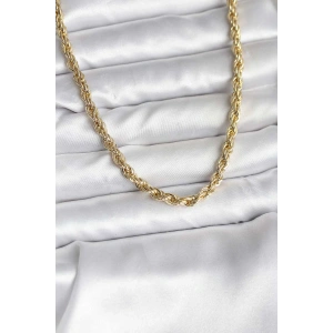 14K Gold Renk Kaplama Burgu Model CM Kadın Kolye