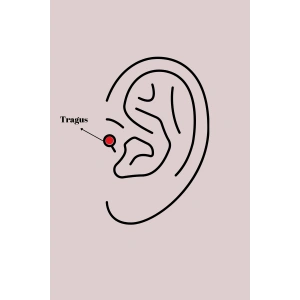316L Çelik Gold Renk Kırmızı Mineli Kalp Tragus Piercing