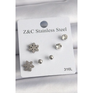 316L Çelik Gümüş Renk Zirkon Taşlı Kar Tanesi Model Kadın Küpe Seti