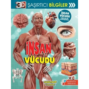 3D Şaşırtıcı Bilgiler - İnsan Vücudu