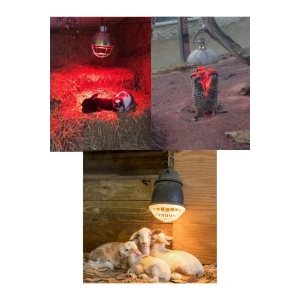 (6 Adet) 250W Kızılötesi Isıtıcılı Hayvan Isıtma ve Kuluçka Lambası (Kırmızı Işık) E27 (Kalın Duy) (  )