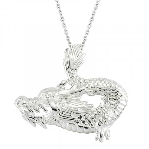 925 Ayar Gümüş Ejderha Erkek Gümüş Kolye Pt1650008 (74)