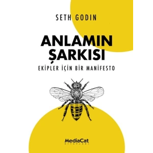 Anlamın Şarkısı