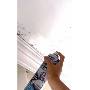 Anti Küf Yalıtım Boyası Sprey 500 ml