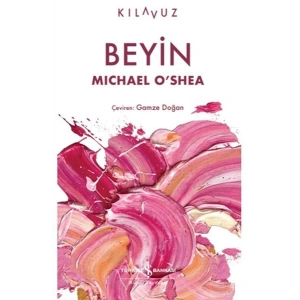 Beyin
