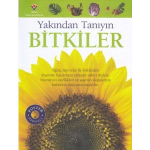 Bitkiler - Yakından Tanıyın
